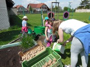 Zahrádka ve školce